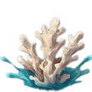 Illustration of coral with water splashes on a transparent background